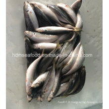 Poisson Frozen Horse Mackerel